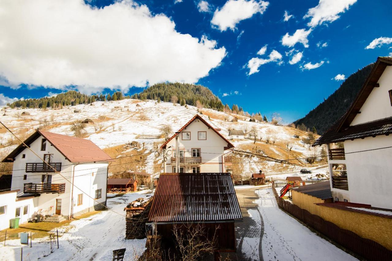 Vila Moecel Moeciu De Sus Exterior foto