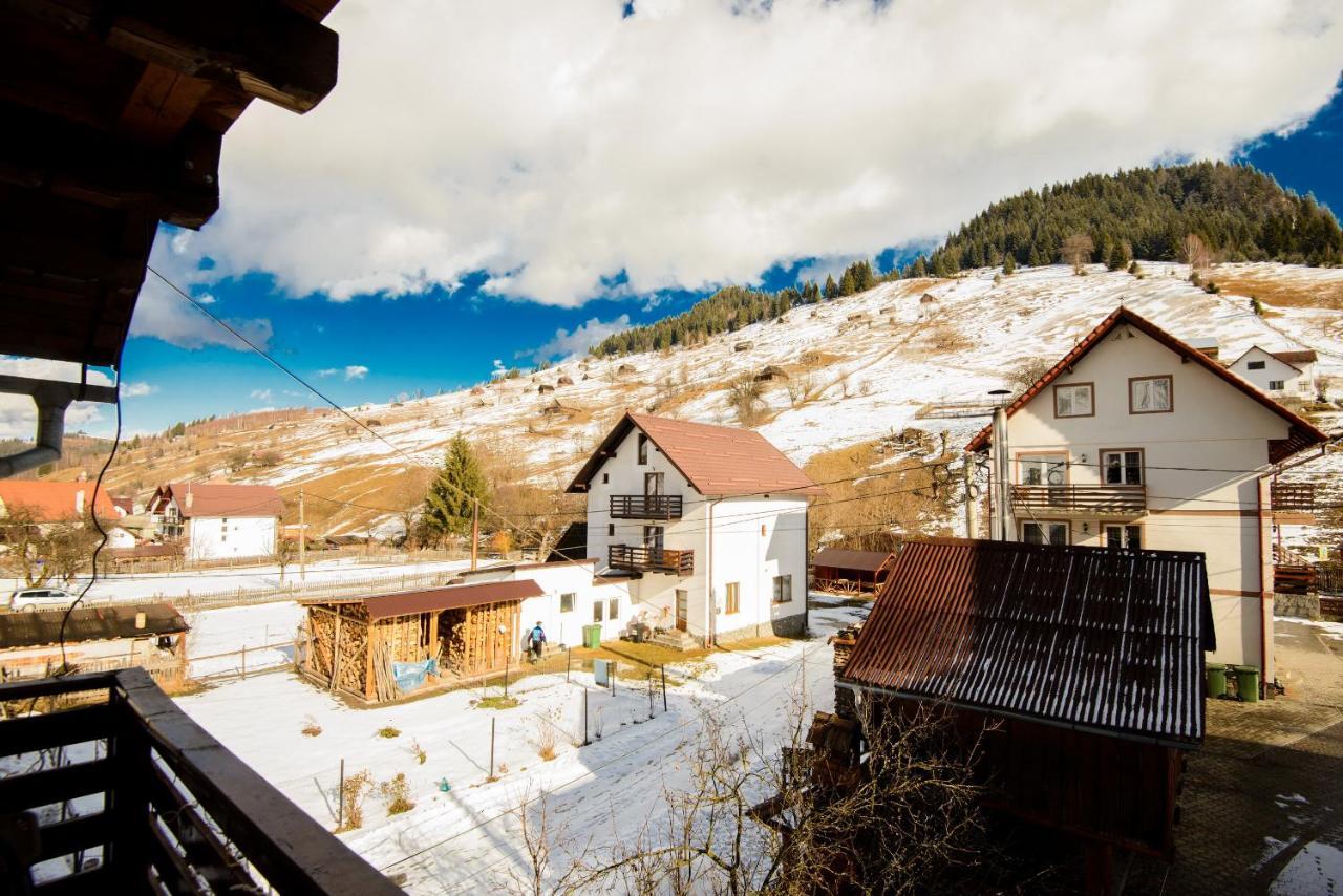 Vila Moecel Moeciu De Sus Exterior foto